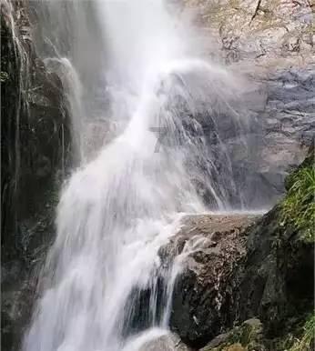 饥饿的松鼠救援